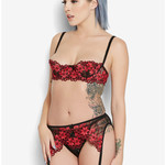 americastoplawyers@gmail.com